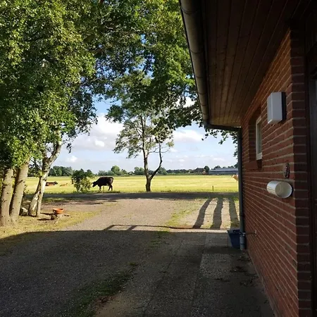 Sonnenglueck Holiday home *