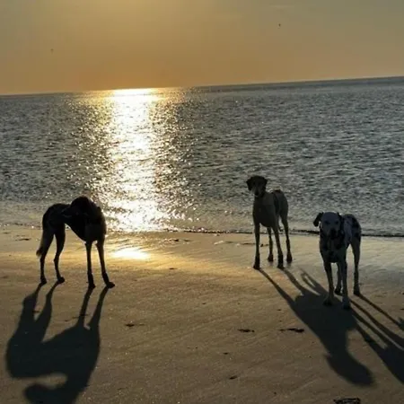 Sonnenglueck-freistehend Und Eingezaeunt Auf Ca 1,20m 別荘 *