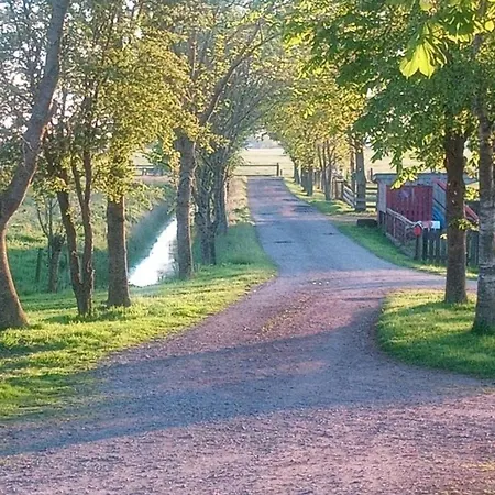 Sonnenglueck Tetenbull